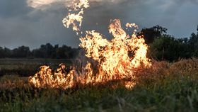 VIDEO Incendiile uriașe de vegetație au ajuns să bage spaima în oameni. Localnicii din Reșița se roagă pentru o ploaie: „Erau flăcările mai mari decât mine”